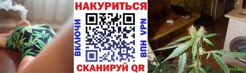 Наркотические вещества Белая Холуница Амфетамин  Кокаин  A PVP  ГАШИШ  Галлюциногенные грибы  Бошки Шишки 