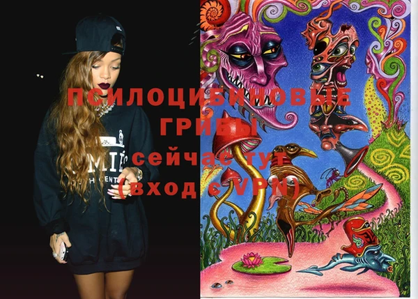 ПСИЛОЦИБИНОВЫЕ ГРИБЫ Баксан