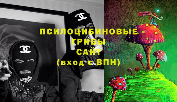 ПСИЛОЦИБИНОВЫЕ ГРИБЫ Баксан