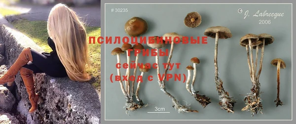 ПСИЛОЦИБИНОВЫЕ ГРИБЫ Баксан