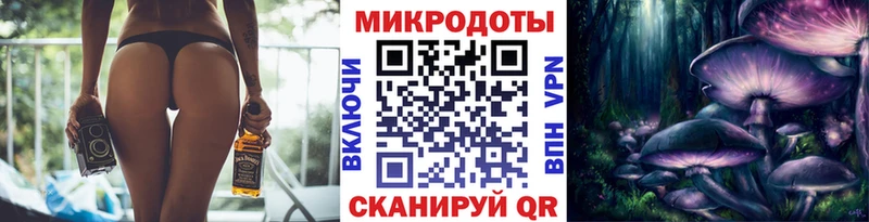 Галлюциногенные грибы Psilocybe  купить наркотики цена  Белая Холуница 